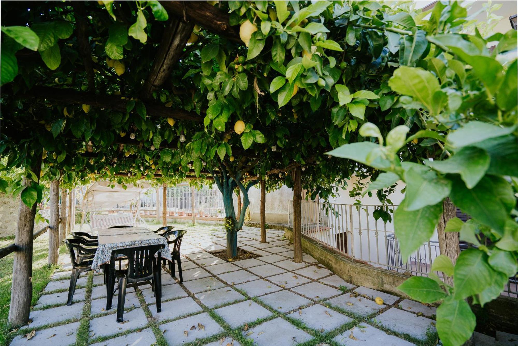 דירות Polvica Il Giardino Dei Limoni מראה חיצוני תמונה